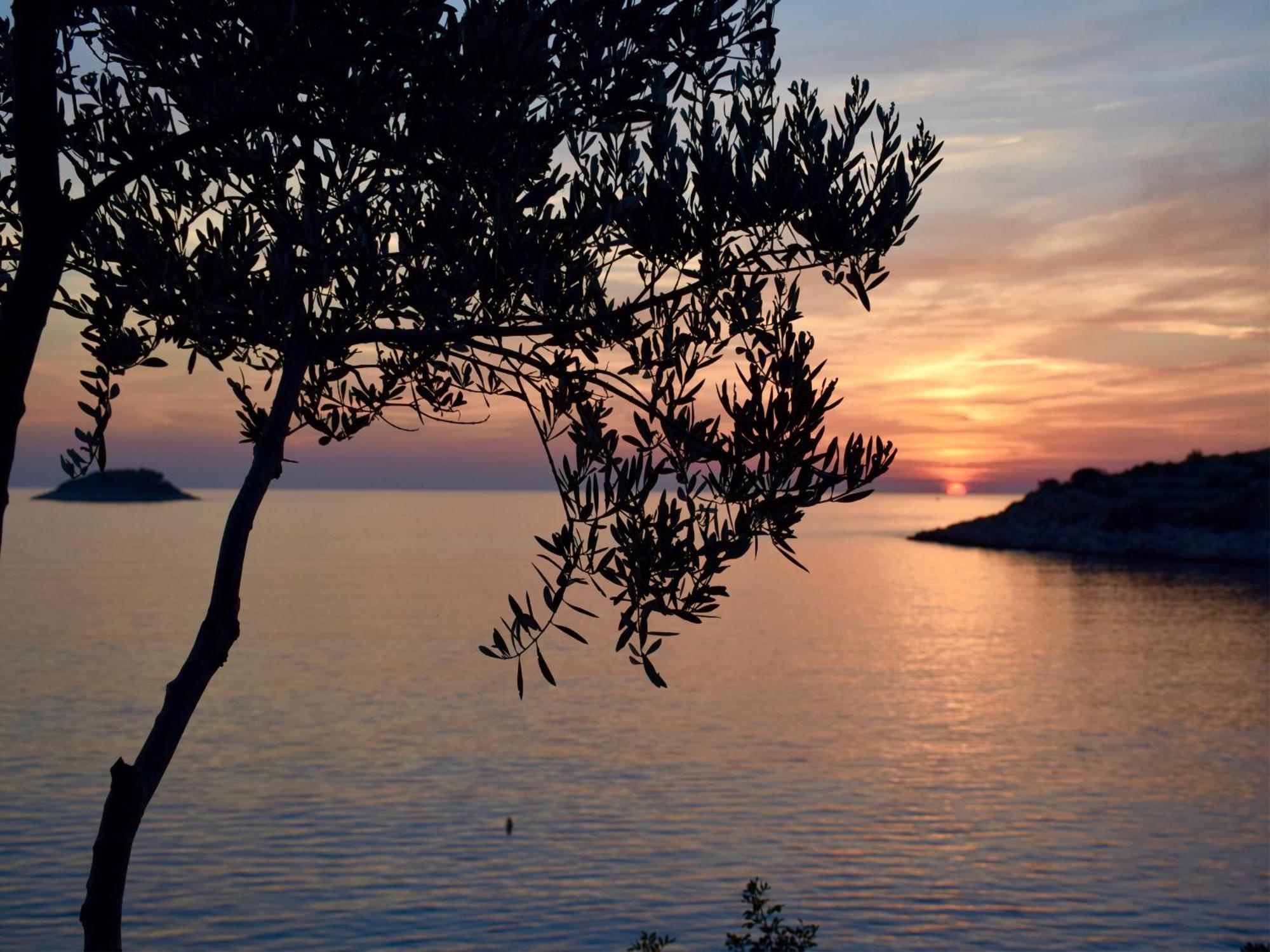 Villa Kamen Blue Vela Luka Pokoj fotografie